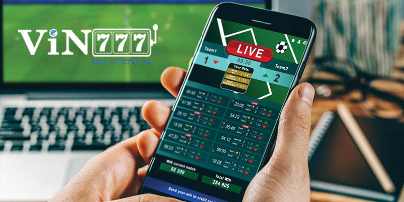Cá Cược Có Trách Nhiệm Vin777 & Các Quy Định Nên Biết 2 Các quy định chi tiết cá cược có trách nhiệm tại địa chỉ Vin777