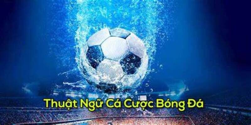 Tìm Hiểu Các Thuật Ngữ Cá Độ Bóng Đá Quan Trọng Nhất 4 Nhiều thuật ngữ mới lạ thường thấy khi chơi cược bóng
